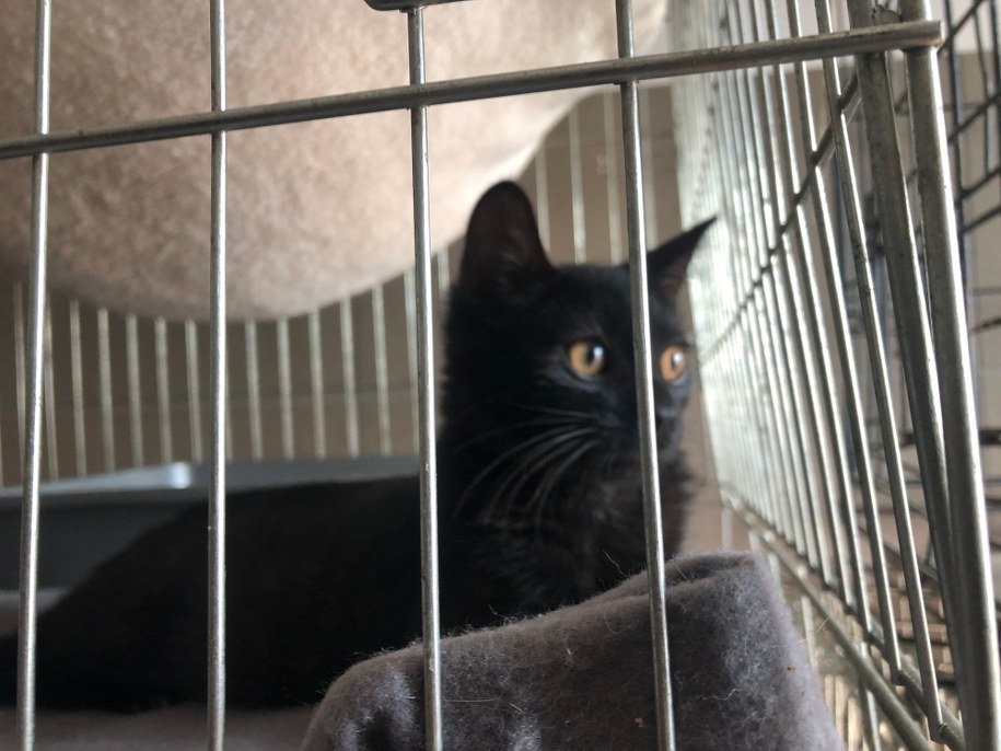 /Michał Dobrołowicz /RMF24