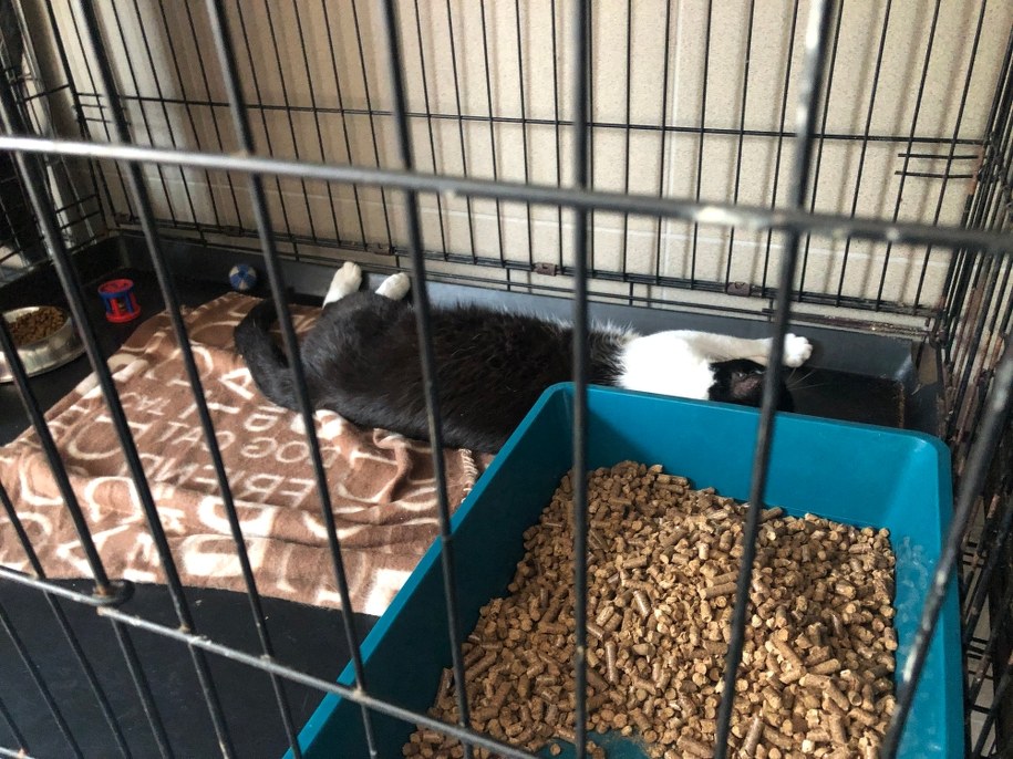 /Michał Dobrołowicz, RMF FM