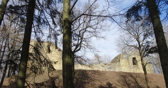 Ruszyła rewitalizacja ruin zamku w Lanckoronie. Obecne prace potrwają do końca roku – poinformował PAP wójt Tadeusz Łopata. W tym czasie ruiny zostaną oczyszczone z zieleni i gruntownie zabezpieczone, wykonane zostaną przyczółki mostu zwodzonego i sama przeprawa.