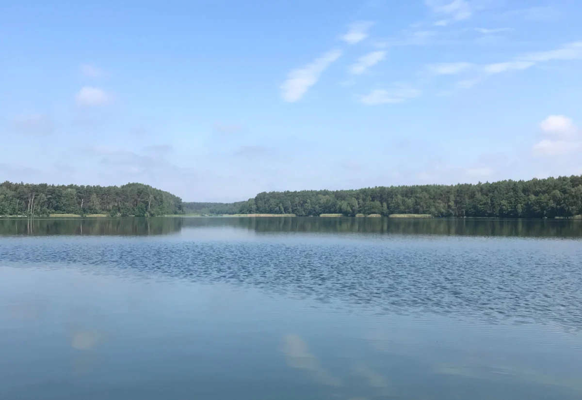 Zarzuty narażenia na niebezpieczeństwo utraty życia lub zdrowia osoby, nad którą ciąży obowiązek opieki usłyszała 30-letnia mieszkanka Sierakowa. Zostawiła ona bez opieki 4-letniego syna na plaży nad jeziorem w Chojnie. Odnaleziona po czasie kobieta miała ponad 2 promile alkoholu w organizmie.