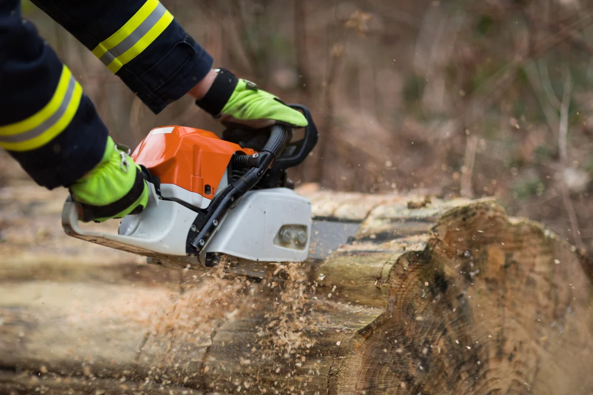 55 razy interweniowali podkarpaccy strażacy w związku z frontem burzowym, który w nocy z wtorku na środę przeszedł nad regionem. Usuwali połamane gałęzie i pompowali wodę. W dwóch przypadkach pomogli zabezpieczać uszkodzone dachy na budynkach gospodarczych. Ponad 3 tys. odbiorców jest bez prądu.