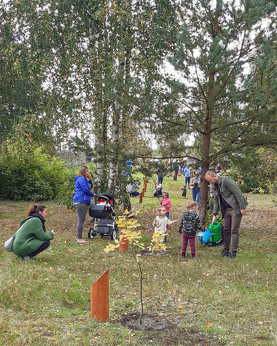 Około 480 drzew liczy obecnie Las Młodej Łodzi. Ten wyjątkowy zagajnik tworzą dęby i lipy, które posadzili rodzice na pamiątkę narodzin dziecka. Tegoroczną akcję zaplanowano 7 października i wtedy jest szansa na zasadzenie sześćsetnego drzewa z okazji 600-lecia Łodzi.