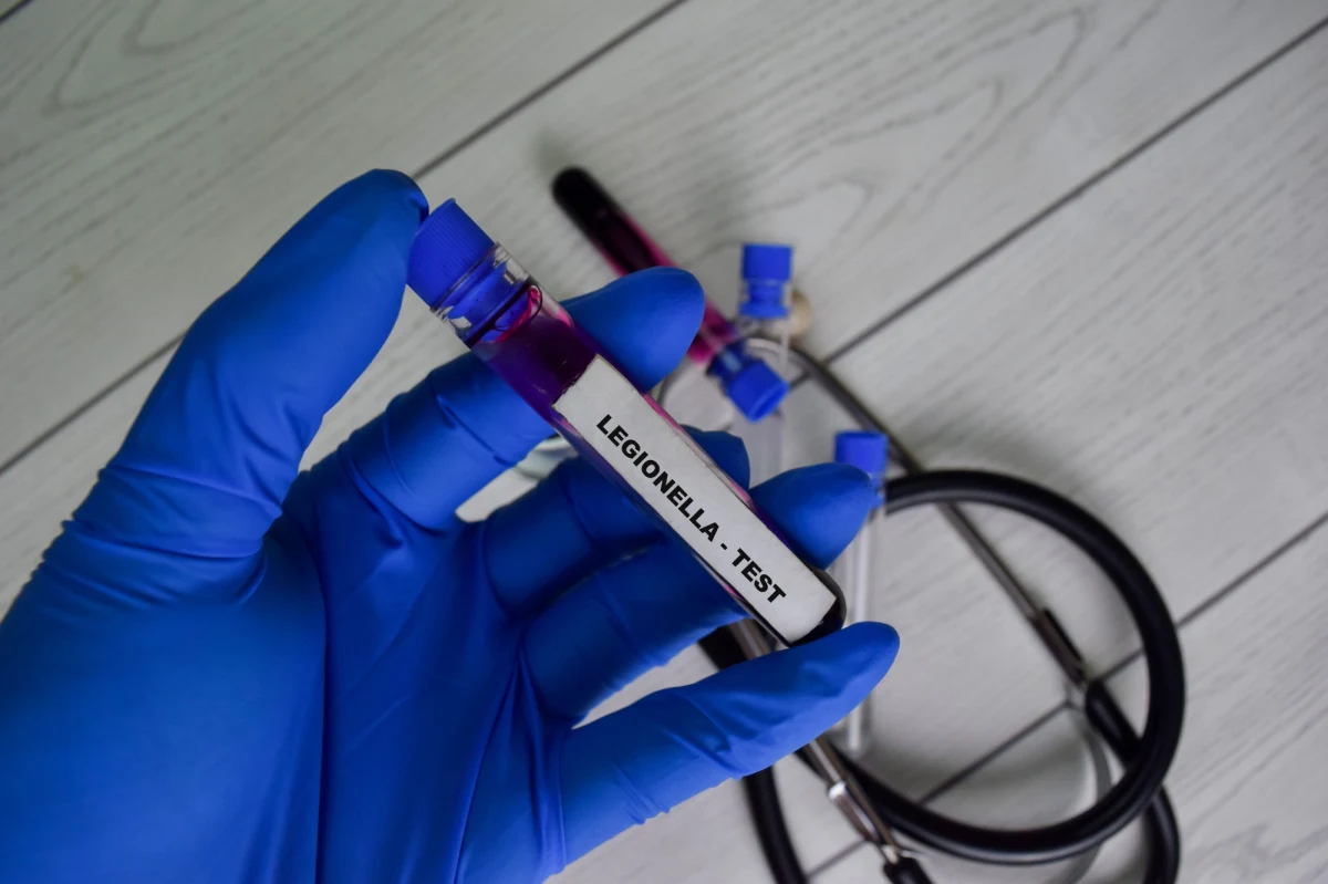 Już 4 osoby zmarły w Rzeszowie z powodu zakażenia bakterią Legionella. 71 pacjentów przebywa w szpitalach. Do późnych godzin nocnych w podkarpackim Urzędzie Wojewódzkim w Rzeszowie obradował sztab kryzysowy pod kierownictwem minister zdrowia Katarzyny Sójki. "Weryfikowany jest wariant dotyczący miejskiej sieci wodociągowej jako źródła zakażenia bakterią Legionella" - przekazał w komunikacie resort zdrowia. 