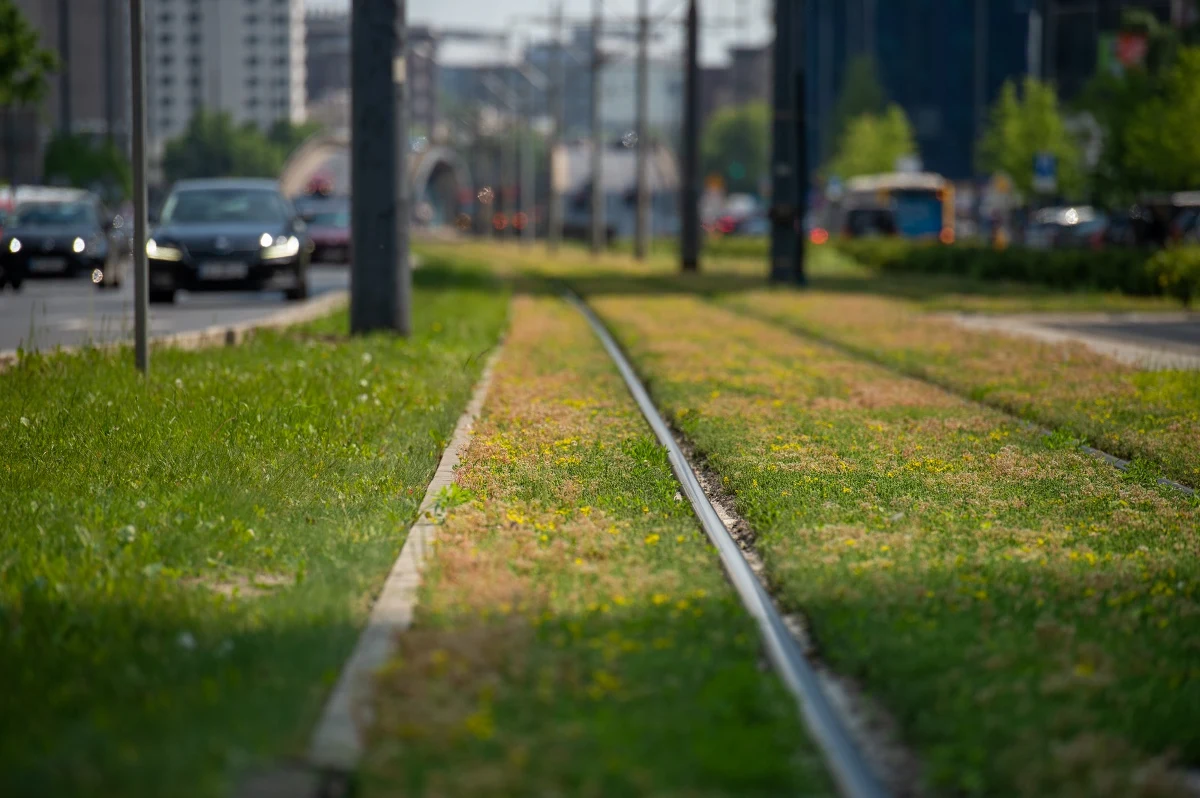Tramwajarze testują torowisko na ulicy Puławskiej. W poniedziałek, 4 września pojadą na tym odcinku tramwaje.
