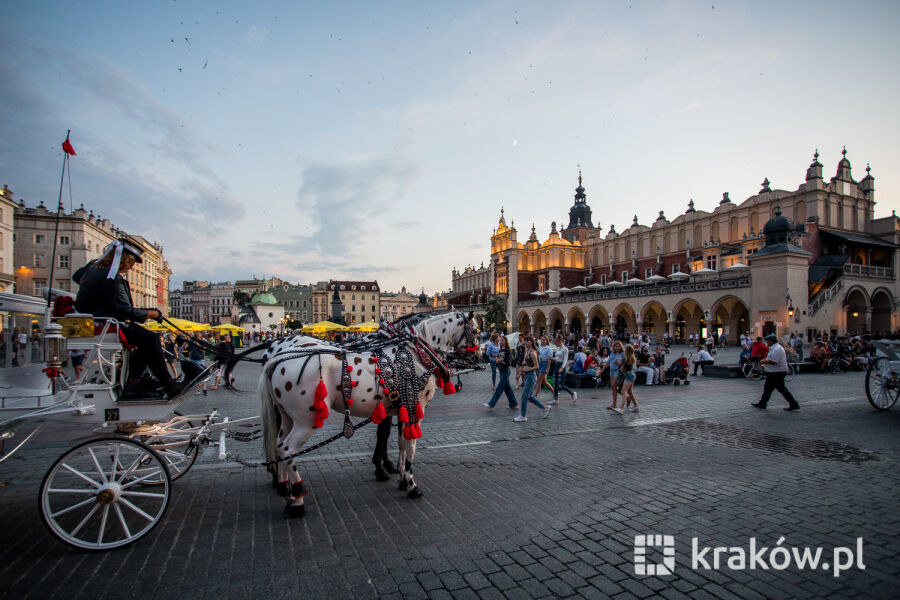 /Bogusław Świerzowski / krakow.pl /