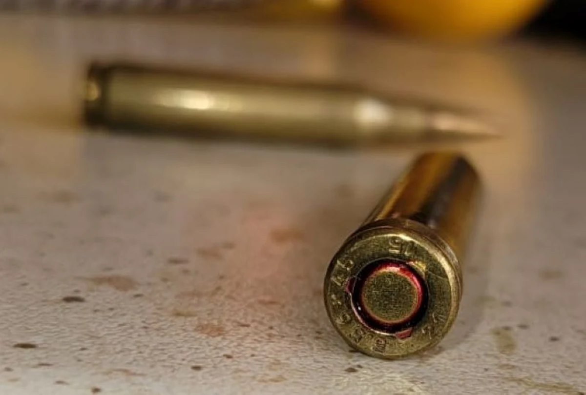 Na dwa miesiące do aresztu trafił  47-latek, który jest podejrzany o posiadanie broni i amunicji oraz ostrzelanie cudzego mieszkania w Gdyni Karwinach. Grozi mu 8 lat więzienia.