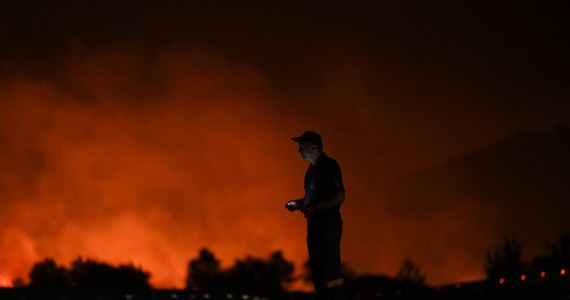 W Grecji w związku z pożarami zatrzymano dotąd 140 osób, a 79 z nich "miało związek z podpaleniami" - poinformował rzecznik rządu w Atenach Pawlos Marinakis, cytowany w piątek przez portal BBC. 