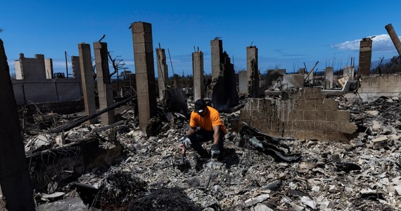 Rozdzierająca serce scena rozegrała się na oczach rodziny 14-latka, który zginął w katastrofalnym pożarze na wyspie Maui (Hawaje). Kiedy w zgliszczach domu odnaleziono zwęglone ciało Keyiro Fuentesa, okazało się, że chłopiec przed śmiercią przytulił swojego psa i oplótł zwierzaka rękoma.