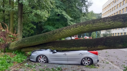Nawałnice nad Polską: Połamane drzewa, zerwane linie energetyczne