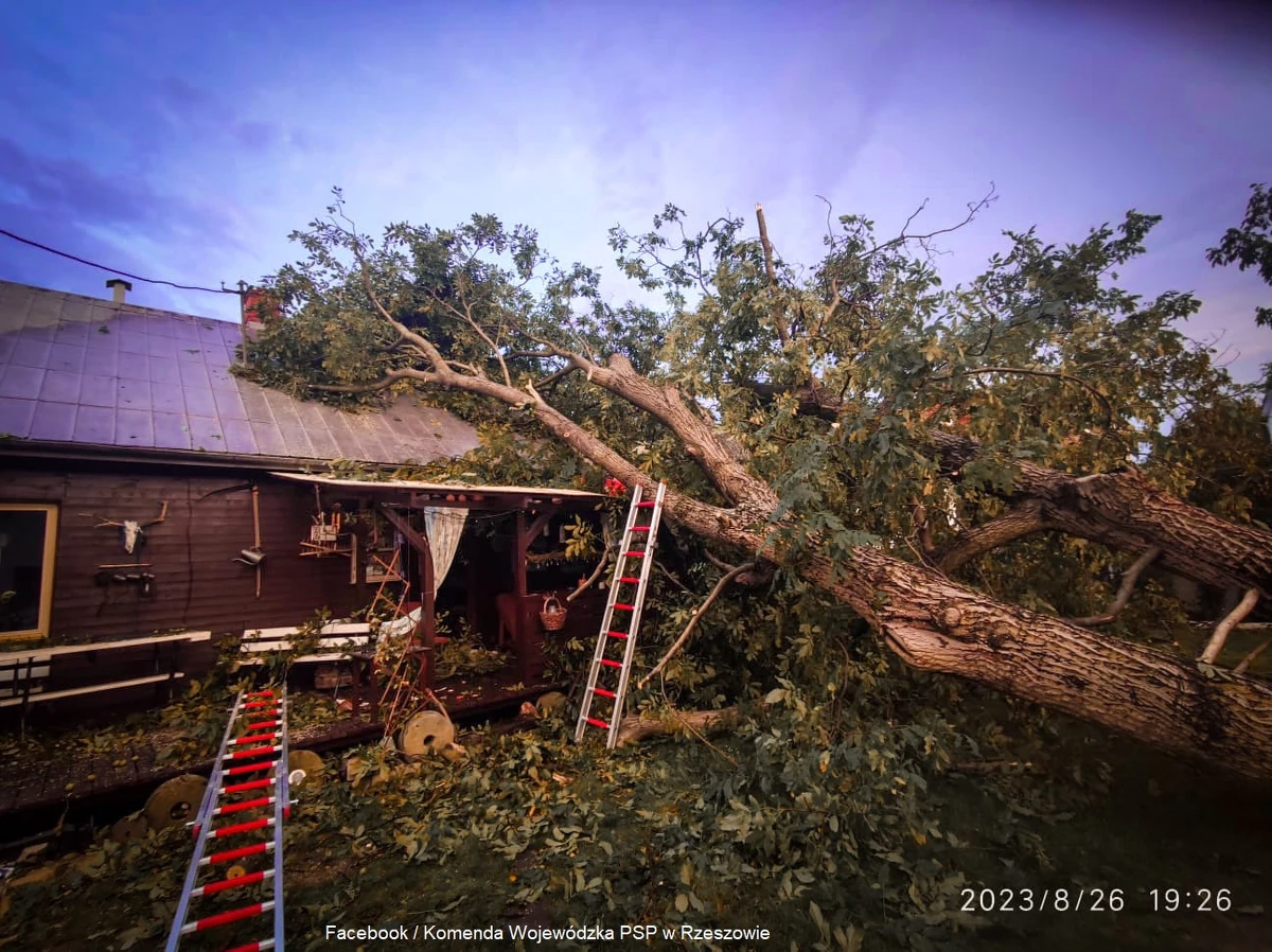 Pięć osób rannych, ewakuacja czworga pacjentów ze szpitala w Dębicy, a także dziesiątki tysięcy osób bez prądu - to efekt nawałnicy, która przeszła nad województwem podkarpackim. Straż pożarna interweniowała tam prawie tysiąc razy.
