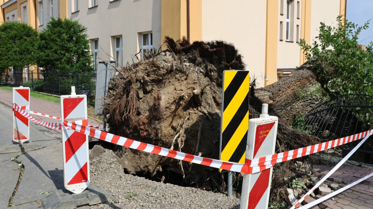 Iwkowa, Gnojnik, Dębno i Czchów - te gminy z powiatu brzeskiego ucierpiały najbardziej podczas nawałnicy, która przeszła nad Małopolską. W Brzesku zwołano dziś posiedzenie powiatowego zespołu zarządzania kryzysowego.