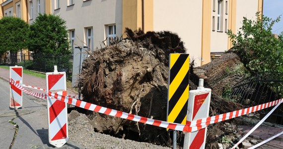 Iwkowa, Gnojnik, Dębno i Czchów - te gminy z powiatu brzeskiego ucierpiały najbardziej podczas nawałnicy, która przeszła nad Małopolską. W Brzesku zwołano dziś posiedzenie powiatowego zespołu zarządzania kryzysowego.