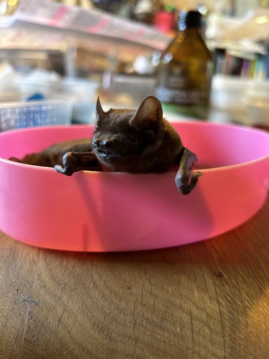 /Aneta Łuczkowska /RMF FM