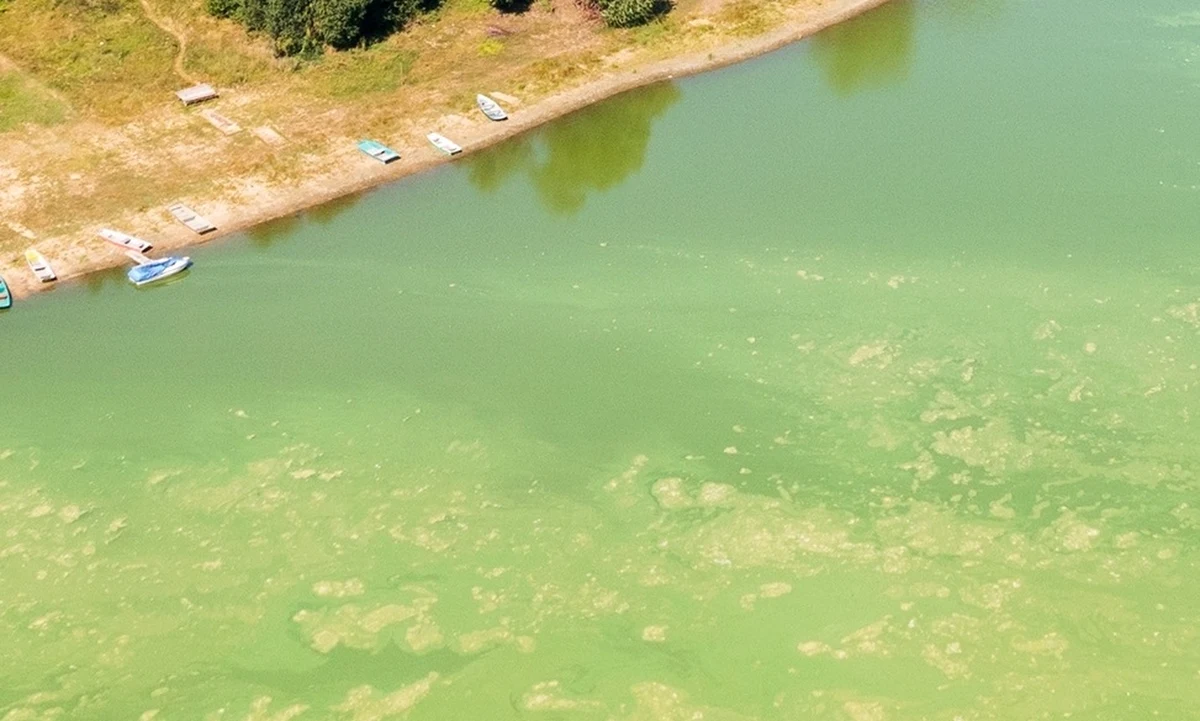 ​Dwa kąpieliska w województwie pomorskim są zamknięte z powodu zakwitu sinic - podał w poniedziałek sanepid.