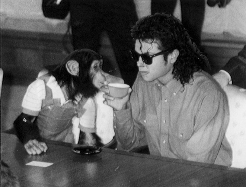 Był tak samo ekscentryczny jak utalentowany. Miał wielkie plany, potrafił ciągle zadziwiać współpracowników i nie znał słowa ”niemożliwe”. Jego sukcesy przyćmiły w pewnym momencie oskarżenia o pedofilię, którym do końca zaprzeczał. Michael Jackson skończyłby 65 lat. Jego piosenki zna cały świat, ale życie i pomysły gwiazdy czasami potrafiły zaskoczyć nawet największych fanów.