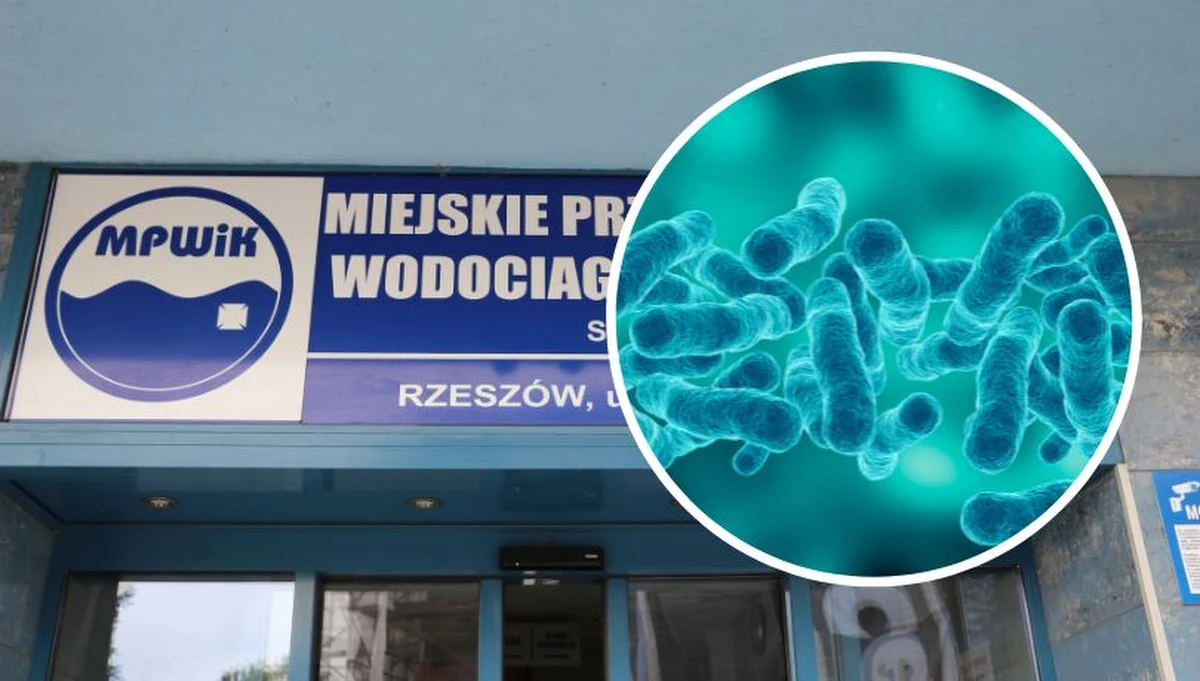 Do 14 wzrosła na Podkarpaciu liczba zgonów osób z potwierdzonym zakażeniem bakterią Legionella pneumophila - poinformował we wtorek rano rzeszowski sanepid. Wszystkie osoby miały choroby współistniejące.