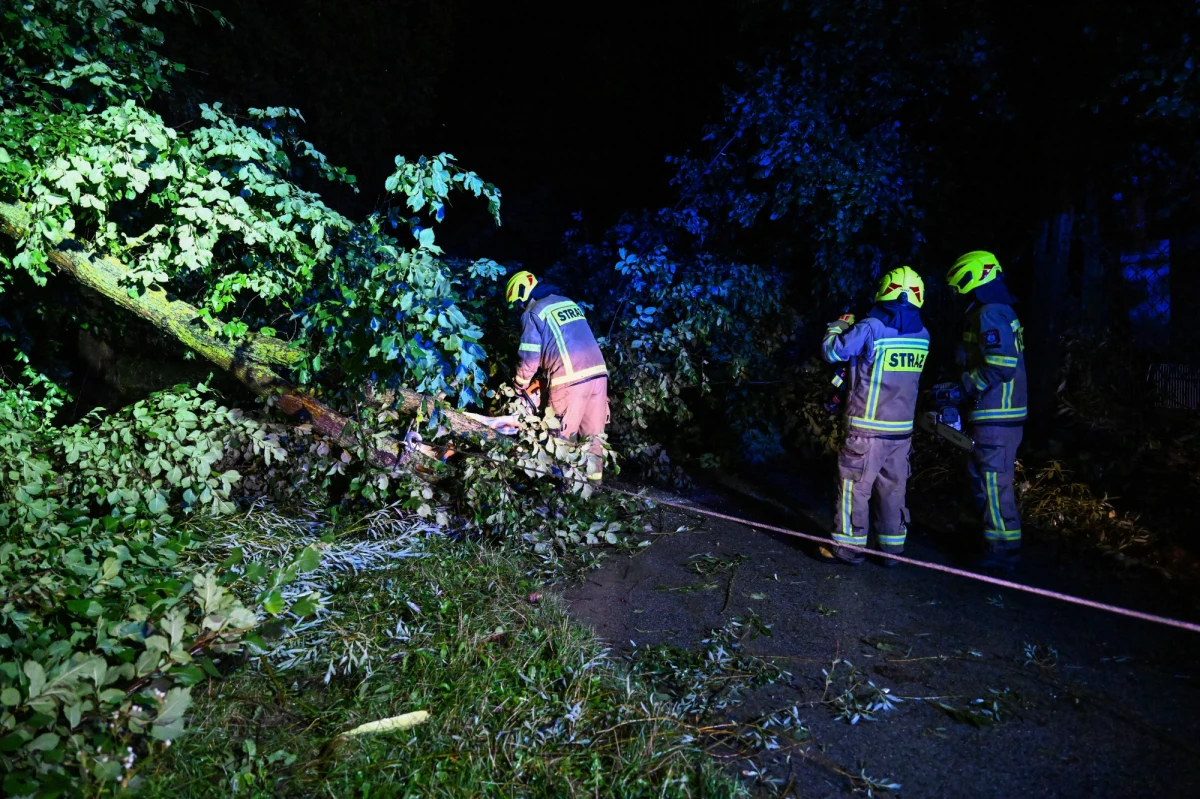 Ponad 1650 interwencji po przejściu nad Polską frontu burzowego. Strażacy wyjeżdżali do połamanych drzew, uszkodzonych dachów i zalanych zabudowań. Najwięcej zdarzeń zanotowano w Małopolsce - 302, w Lubelskiem - 291 i na Podkarpaciu - 280.