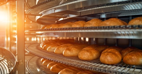 Cena kilogramowego bochenka chleba to obecnie około 10 złotych, ale - jak zapowiadają piekarze - może ona jeszcze w tym roku wzrosnąć. Mąka jest tu najmniejszym problemem - mówią rozgoryczeni.