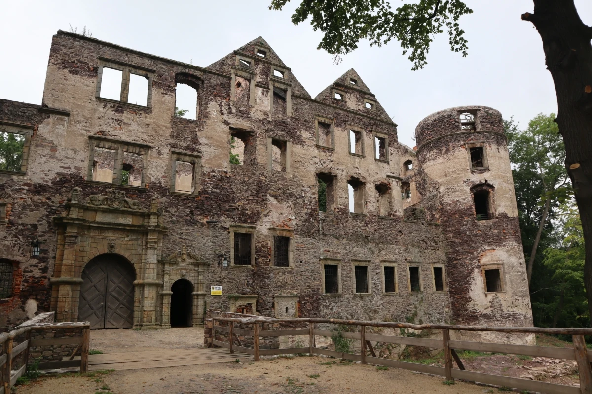 W czasie badań archeologicznych na terenie Zamku Świny koło Bolkowa na Dolnym Śląsku znaleziono piwnicę, do której prawdopodobnie od co najmniej 200 lat nikt nie zaglądał. W środku znaleziono kilka ciekawych detali architektonicznych. Badacze zapowiadają dalsze poszukiwania śladów "zaginionego zamku", czyli zabudowań, które na miejscu, których wybudowano w średniowieczu nowy obiekt.
