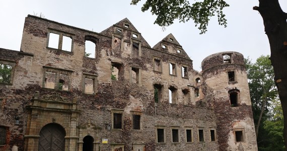 W czasie badań archeologicznych na terenie Zamku Świny koło Bolkowa na Dolnym Śląsku znaleziono piwnicę, do której prawdopodobnie od co najmniej 200 lat nikt nie zaglądał. W środku znaleziono kilka ciekawych detali architektonicznych. Badacze zapowiadają dalsze poszukiwania śladów "zaginionego zamku", czyli zabudowań, które na miejscu, których wybudowano w średniowieczu nowy obiekt.
