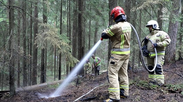 Niepokojące wieści z największego i najstarszego lasu pierwotnego w Europie. Jednego dnia w Puszczy Białowieskiej wybuchły aż trzy pożary. Trudno mówić tu o przypadku, co więcej w tym roku ogień pojawiał się w tym miejscu już kilkanaście razy. Marcin Szumowski.