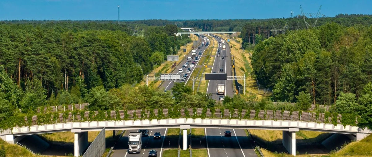 Autostrada "Wolności" pomiędzy Łodzią a Warszawą z dodatkowymi pasami w 2028 roku - tak deklaruje wiceminister infrastruktury Rafał Weber. Dziś podpisano umowę na zaprojektowanie budowy trzeciego i czwartego pasa autostrady A2.