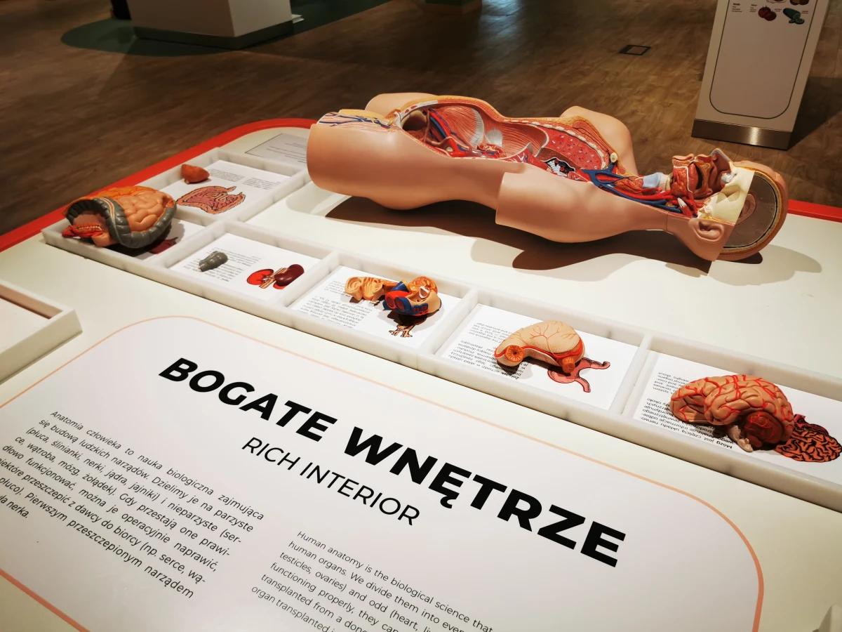 Z początkiem września zwiedzać będzie można Kortosferę - centrum popularyzacji nauki i innowacji Uniwersytetu Warmińsko-Mazurskiego w Olsztynie. W położonym w akademickim Kortowie budynku znajduje się prawie 200 eksponatów dotyczących m.in. gleby, żywienia, człowieka, kosmosu i rolnictwa. 