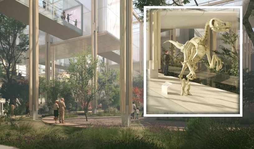 Studio ADAT ujawniło plany stworzenia nowego, energooszczędnego i wypełnionego zielenią, muzeum nauki w Rzymie. W budynku nazwanym Lasem Nauki znajdą się też galerie i powierzchnie wystawowe rozmieszczone wokół wewnętrznego parku publicznego.