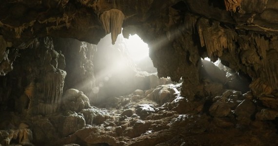 ​Po trwającym trzy lata remoncie, w poniedziałek (4 września), ponownie zostanie otwarta Jaskinia Mroźna w Dolinie Kościeliskiej w Tatrach. W jaskini zlikwidowano sztuczne oświetlenie, dlatego zwiedzający będą musieli wyposażyć się w latarki.