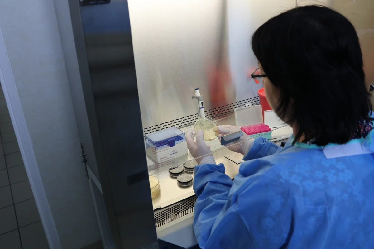 Szef Powiatowej Stacji Sanitarno-Epidemiologicznej w Rzeszowie Jaromir Ślączka poinformował o trzech nowych zakażeniach bakterią Legionella na Podkarpaciu. Liczba osób, u których wykryto chorobę legionistów wynosi 163. Ostatniej doby nie odnotowano nowych zgonów.