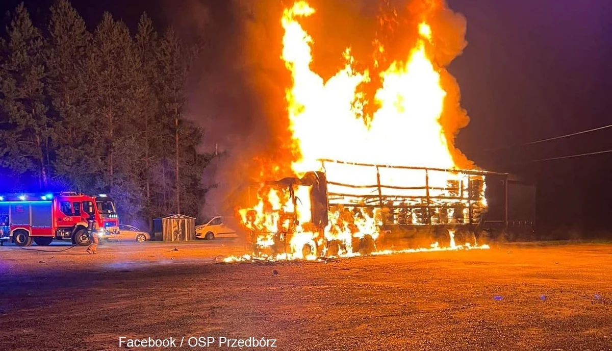 Trzy spalone lub nadpalone ciężarówki - to bilans nocnego pożaru w Przedborzu na Podkarpaciu. Zgłoszenie o pojawieniu się ognia straż pożarna otrzymała przed godziną 2 w nocy.