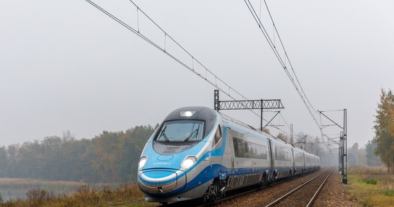 Łoś wpadł pod pociąg relacji Warszawa-Kraków na trasie Szeligi-Biała Rawska. Skład został uszkodzony i nie mógł kontynuować dalszej jazdy.
