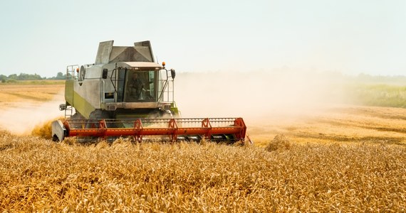 Pięć krajów nie stoi już murem za unijnym zakazem importu czterech produktów rolnych z Ukrainy po 15 września. „Mamy pewien problem z Bułgarią” – przyznał w rozmowie z korespondentką RMF FM minister rolnictwa Robert Telus.