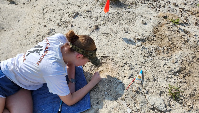 United States of America.  A 16-year-old girl found a 34-million-year-old whale skull fossil