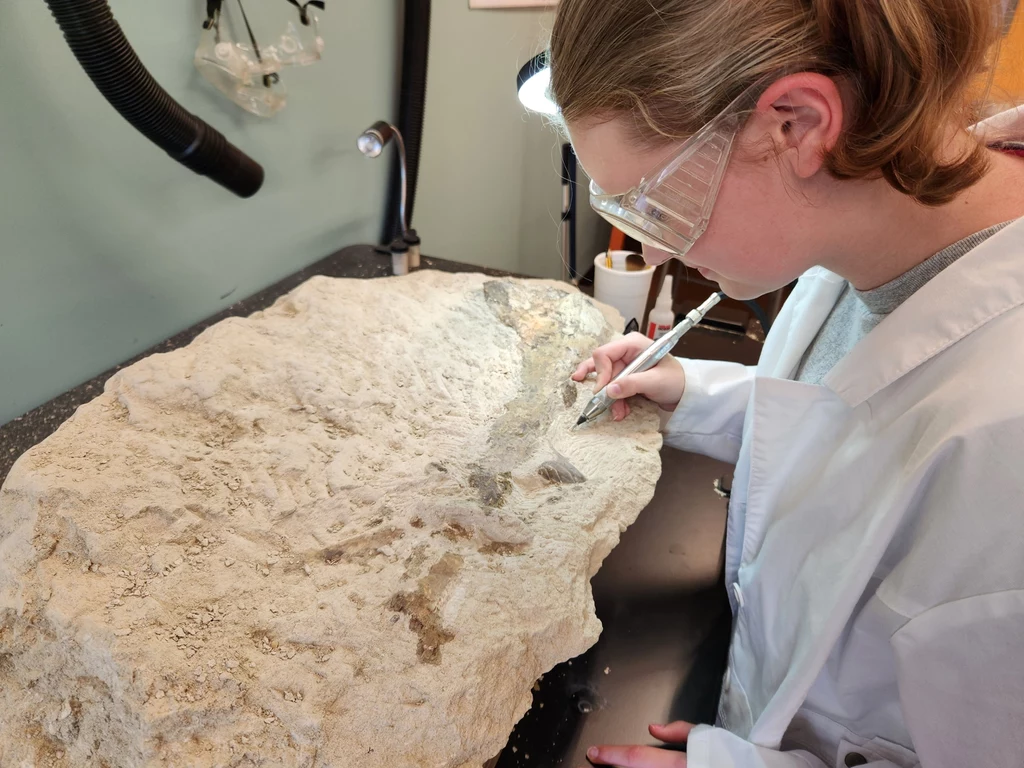 Lindsey Stallworth planuje skończyć dwa kierunki studiów: paleontologię oraz biologię morską