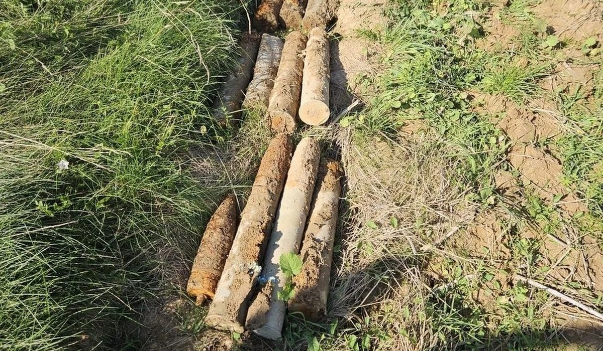 Niezwykłego i niebezpiecznego odkrycia dokonali rolnicy w miejscowości Mała na Podkarpaciu. Podczas prac polowych wykopali dwa niewybuchy. Wezwani na miejsce saperzy odkryli w sumie 12 pocisków artyleryjskich, pochodzących prawdopodobnie z czasów II wojny światowej.
