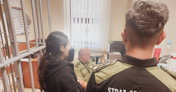 W nocy z poniedziałku na wtorek funkcjonariusze z Placówki Straży Granicznej zatrzymali siedmiu obywateli Turcji. Próbowali oni nielegalnie przekroczyć polską granicę w Chyżnem.