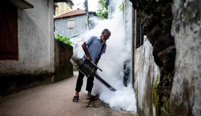 "Najpoważniejszy wybuch dengi w historii". Zmarły setki osób