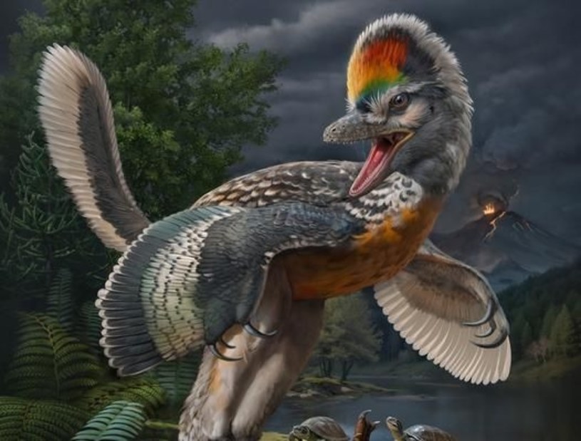 Chińscy naukowcy odkryli szkielet dinozaura o ciekawych cechach przypominających ptaki. Ich zdaniem może to być zaginiona gałąź ewolucji między dinozaurami i ptakami. 