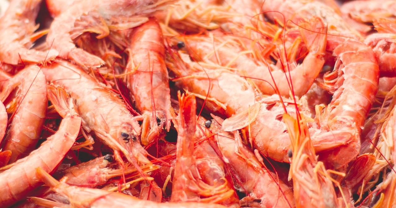 Afera w USA. Duża sieć wycofuje krewetki. "Potencjalnie radioaktywne"