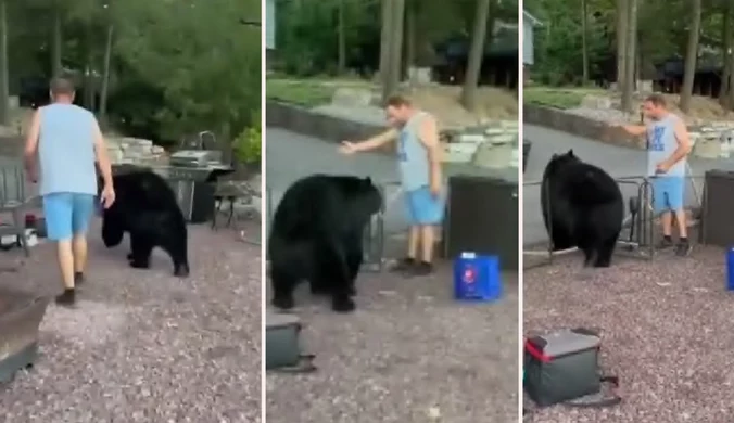 Wygonił niedźwiedzia z własnego podwórka. Nagranie hitem sieci