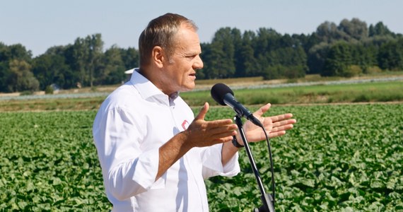 Kampania wyborcza ruszyła pełną parą. Na początku nie usłyszmy jednak o szczegółach programów rywalizujących partii politycznych. Dowiemy się natomiast, co przeciwnicy robią źle. PO opowiada o kłamstwach PiS, a Prawo i Sprawiedliwość zapowiada, że codziennie będzie prezentował część "programu wyborczego" Platformy.