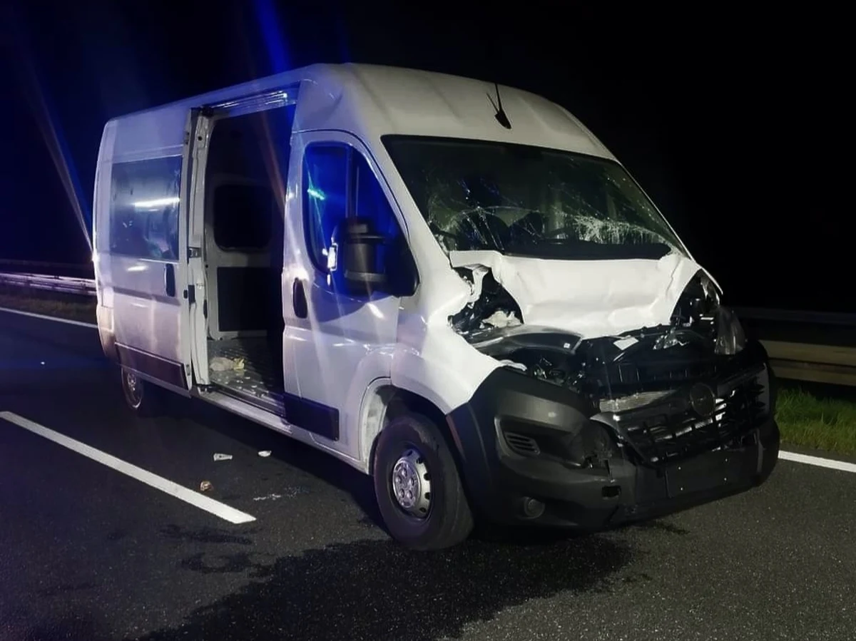 Strażnicy graniczni wspólnie z policjantami przeszukują teren przy autostradzie A4 w okolicach miejscowości Prószków na Opolszczyźnie. W nocy doszło tam do kolizji ciężarówki i busa na niemieckich tablicach rejestracyjnych. Jego kierowca i pasażerowie mieli uciec. 