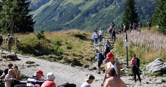 W Tatrach przeprowadzone są kolejne prace remontowe na górskich szlakach. Turyści muszą liczyć się z utrudnieniami i czasowymi zamknięciami niektórych odcinków.
