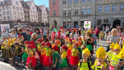 Wielka Parada Krasnoludków we Wrocławiu [NAGRANIE]