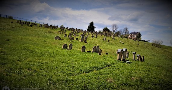 10 września 2023 r. Markowa, województwo podkarpackie. Beatyfikacja całej rodziny Ulmów wraz z ich nienarodzonym dzieckiem. W 1944 roku ci Polacy, chrześcijanie, zostali bestialsko zamordowani przez Niemców, opętanych rasistowską ideologią, zostali zabici za ukrywanie skazanych na Zagładę Żydów. Makabryczny los tej grupy osób to znak totalnej zbrodni i bezgranicznej ofiary. Szlachetni Ulmowie i biedni ludzie, których ratowali przed obłędną obławą, do których, mimo śmiertelnego zagrożenia, nie bali się wyciągnąć pomocnych dłoni, to reprezentanci milionów ofiar nazistowskiego imperializmu, żądzy władzy nad światem. To była jak biblijna walka Dawida z Goliatem, nierówna, ale na końcu zwycięska.