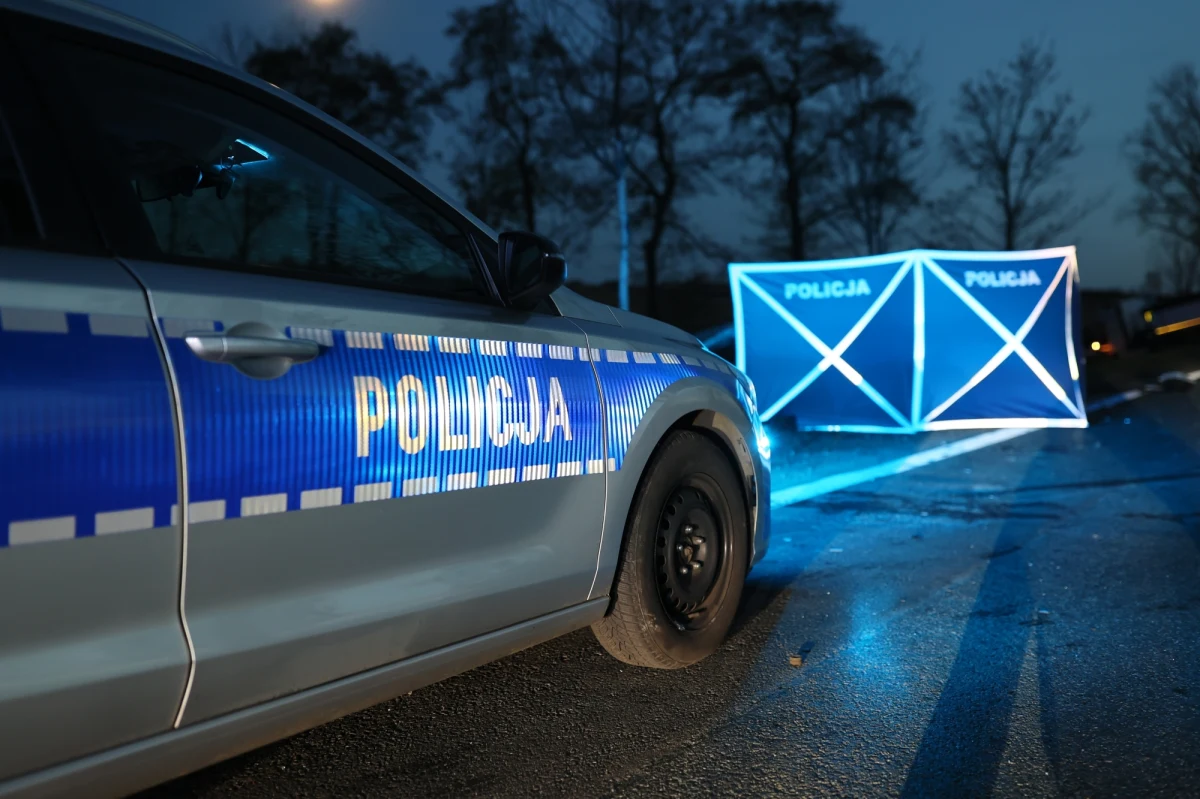 W niedzielę w nocy na drodze krajowej nr 1 w Goczałkowicach-Zdroju ( Śląskie) kierowca samochodu osobowego śmiertelnie potrącił pieszego. Ofiara wypadku szła środkiem drogi na jej nieoświetlonym odcinku - poinformowała policja w Pszczynie.