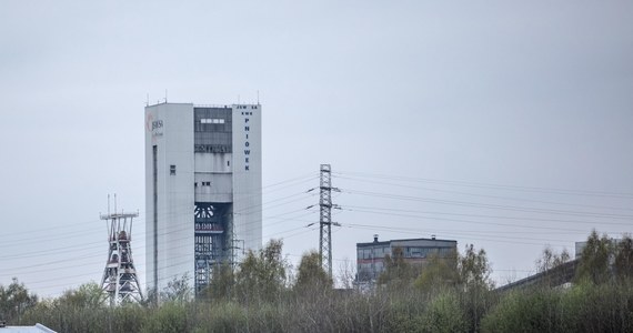 Ratownicy odnaleźli ciała pięciu z siedmiu górników zaginionych po katastrofie w kopalni Pniówek w Pawłowicach na Śląsku. W wyniku serii wybuchów metanu w kwietniu ubiegłego roku zginęło tam dziewięć osób, a siedem uznano za zaginione.
