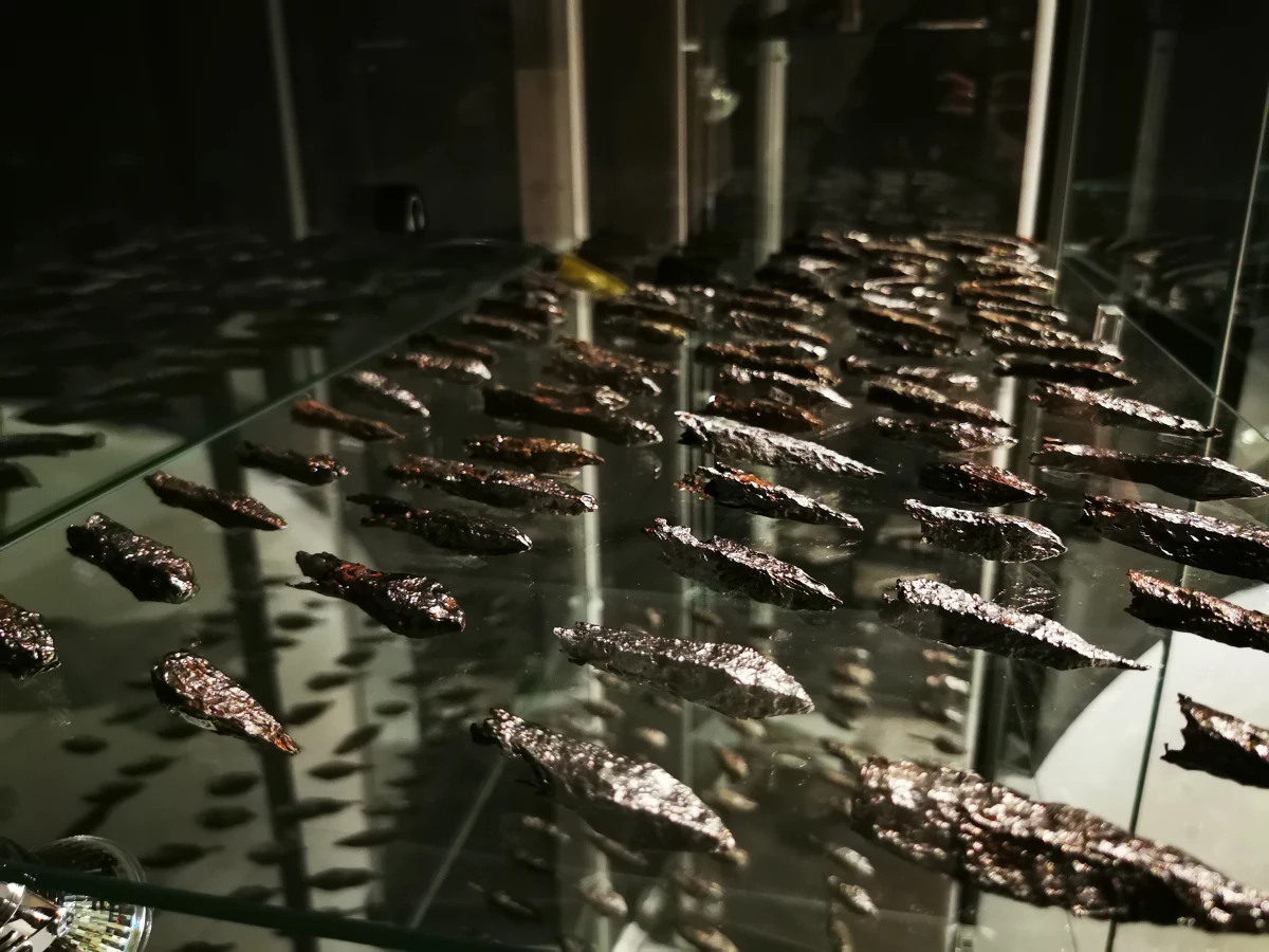 Pod Grunwaldem rozpoczęła się dziewiąta edycja badań archeologicznych. Detektoryści z całej Polski będą sprawdzać kolejne pola w poszukiwaniu pozostałości po największej średniowiecznej bitwie z 1410 roku. Tym razem będą działać w pobliżu miejscowości Wierzbica, gdzie mogły przemieszczać się wojska króla Jagiełły.