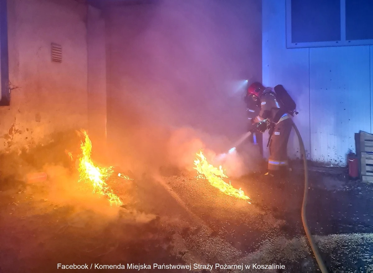 Nocny pożaru składu peletu w hali magazynowej tartaku w Nowych Bielicach koło Koszalina w Zachodniopomorskiem. W akcji gaśniczej brały udział cztery zastępy straży pożarnej.